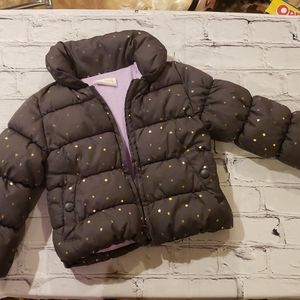 2T Crazy 8 puffy coat